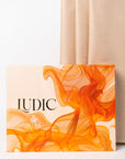 LUDIC